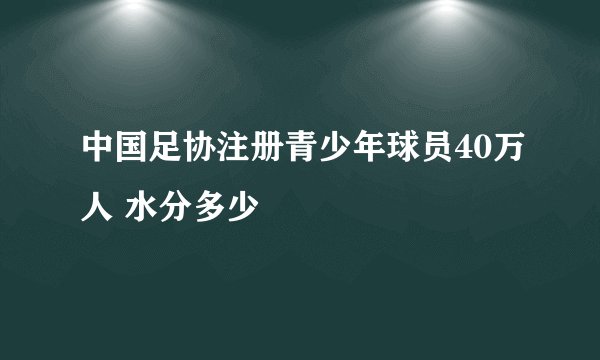 中国足协注册青少年球员40万人 水分多少