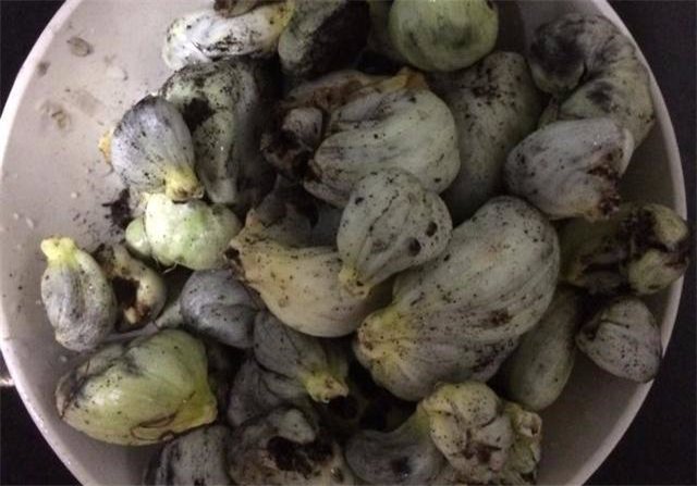 你知道什么叫玉米黑粉菌吗？