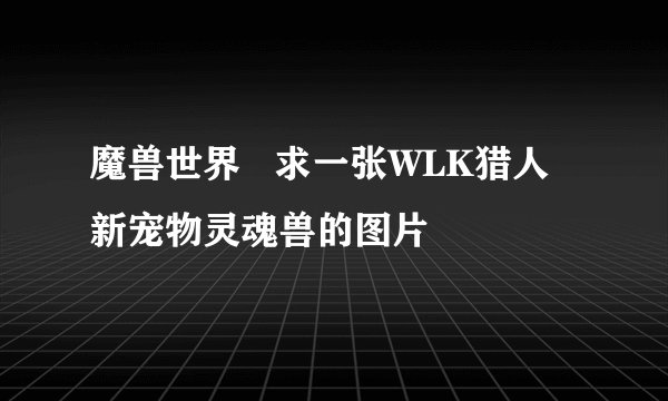 魔兽世界   求一张WLK猎人新宠物灵魂兽的图片