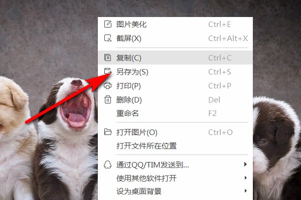 JPG是什么格式？