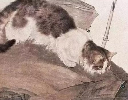 夏丏尊《猫》读后感