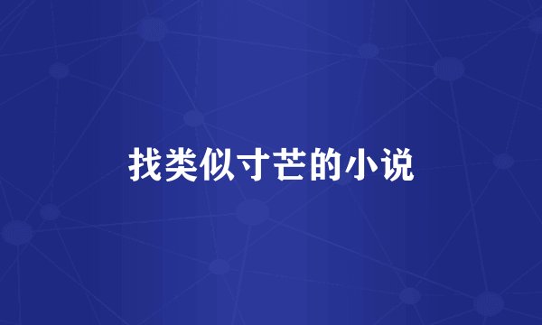 找类似寸芒的小说