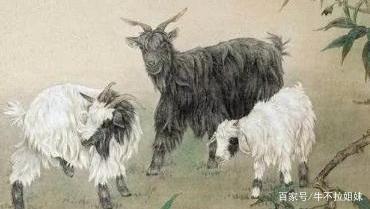 古人俗语“男怕属鸡，女怕属羊”，这是什么意思呢？