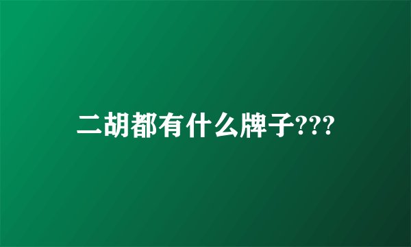 二胡都有什么牌子???