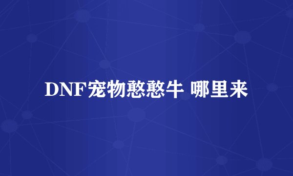 DNF宠物憨憨牛 哪里来