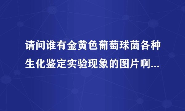 请问谁有金黄色葡萄球菌各种生化鉴定实验现象的图片啊 急用 谢谢啦