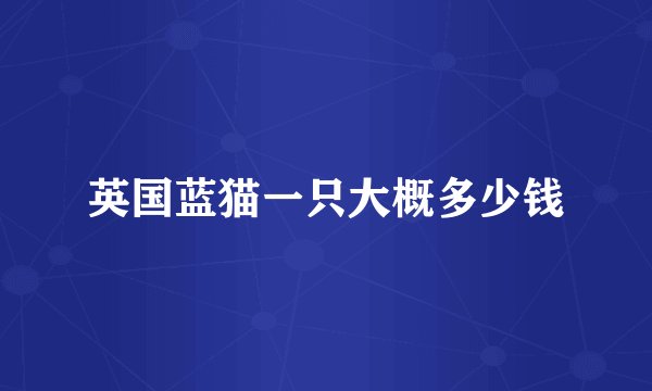 英国蓝猫一只大概多少钱