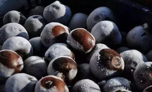 冻梨是什么梨，为什么会变黑？