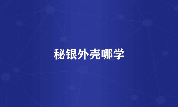 秘银外壳哪学