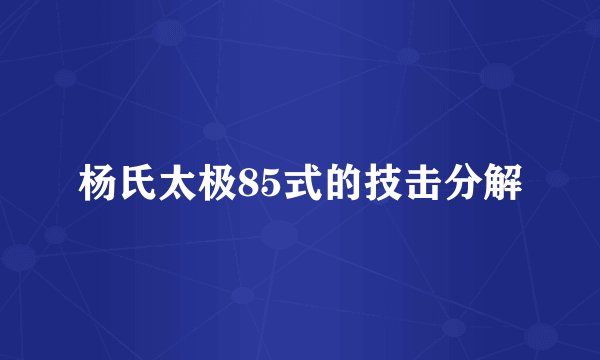 杨氏太极85式的技击分解