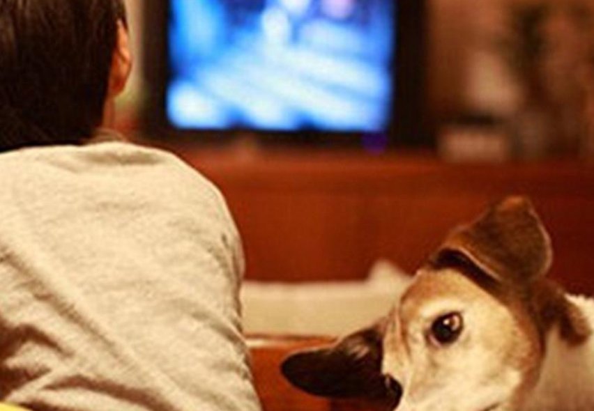 善良秘书的目的