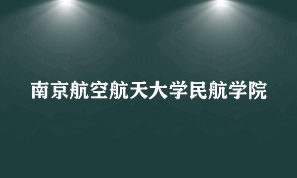南京航空航天大学民航学院