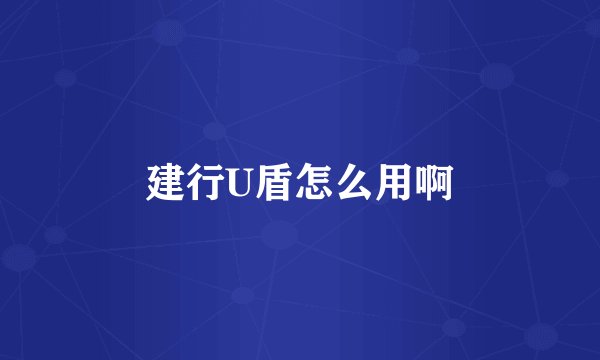 建行U盾怎么用啊