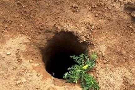 为何盗墓贼的盗洞一打一个准？