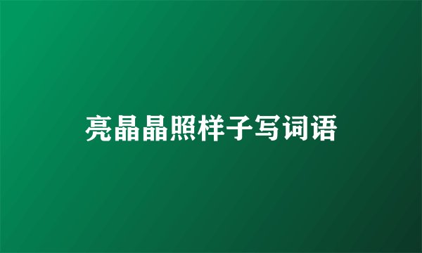 亮晶晶照样子写词语