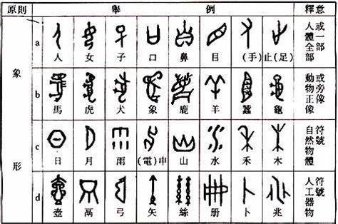 王字加个笔能写多少?