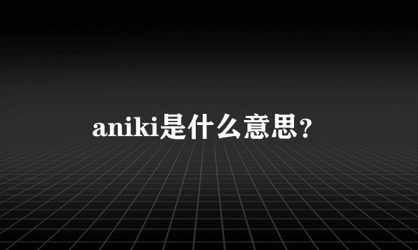 aniki是什么意思？