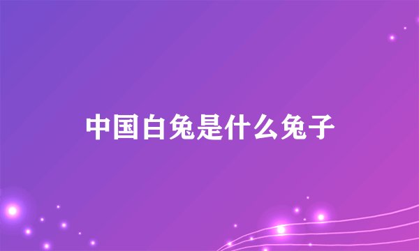 中国白兔是什么兔子