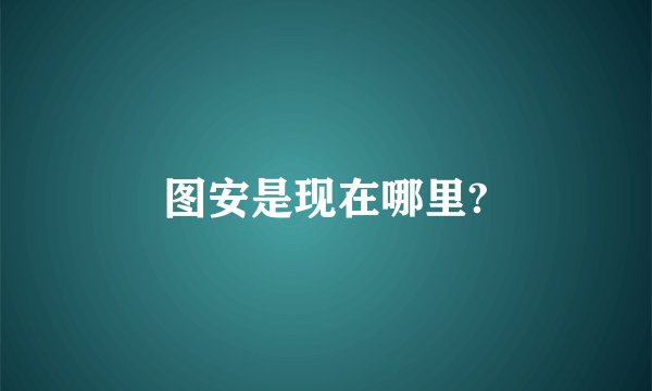 图安是现在哪里?
