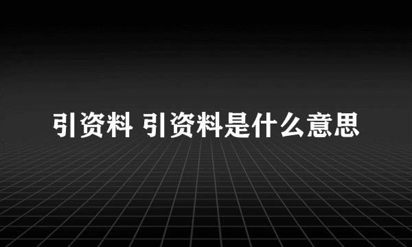 引资料 引资料是什么意思