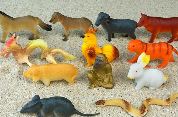 头撞南墙打一个生肖动物