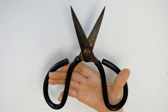 钝的拼音组词和部首音节