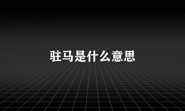 驻马是什么意思