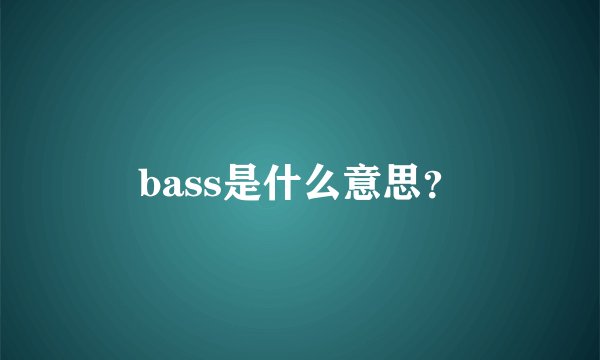 bass是什么意思？