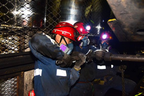 没人造句一年级简单的句子