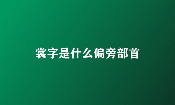 裳字是什么偏旁部首
