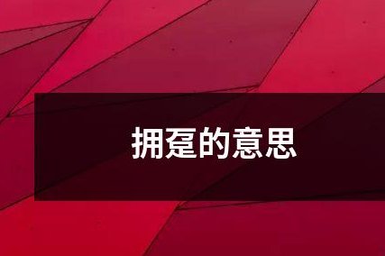 拥趸是什么意思呢