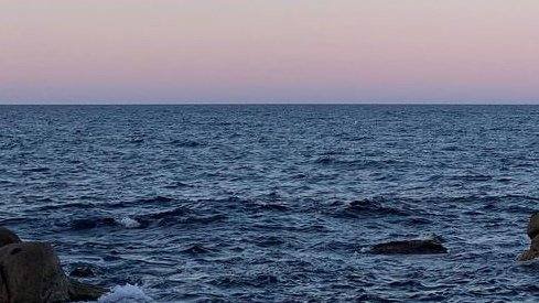 智者不入爱河下一句是什么？