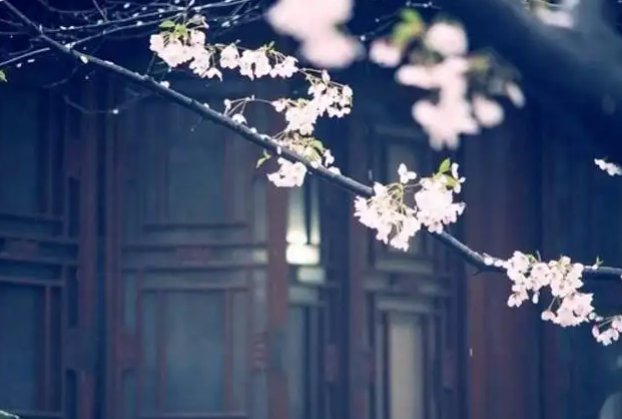 心有千千结后半句是什么?