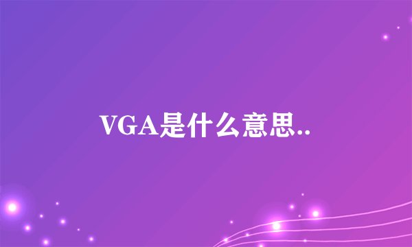 VGA是什么意思..