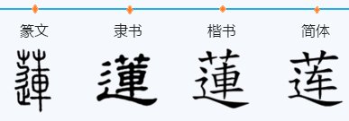 莲字笔画笔顺笔划
