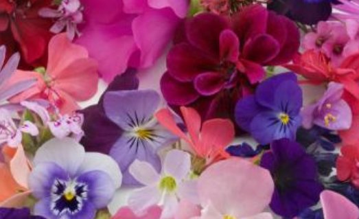 五颜六色  五彩缤纷 区别