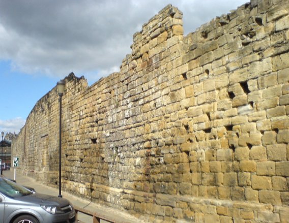 墙壁，眼睛，膝盖英语是什么意思