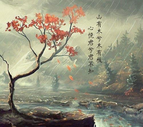 任他明月下西楼的意思是什么？