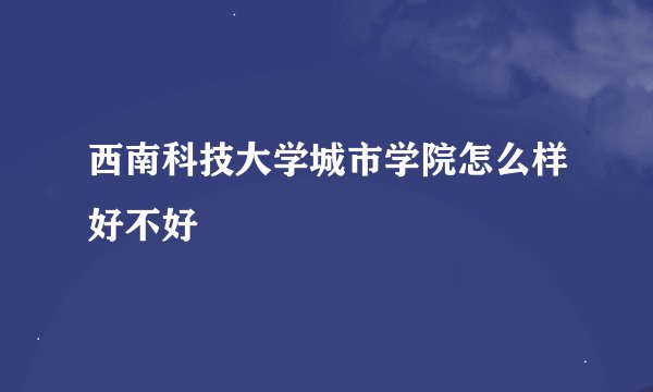 西南科技大学城市学院怎么样好不好