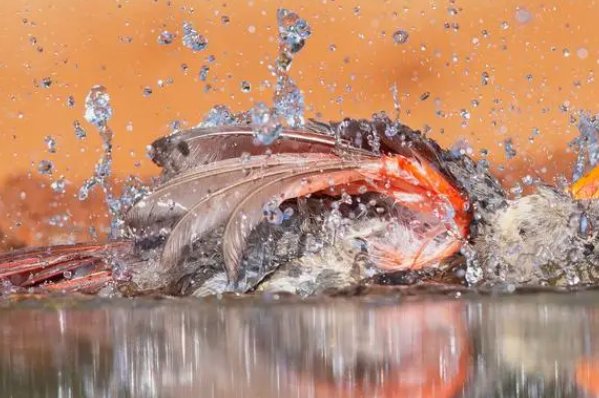 学摄影去哪个培训机构