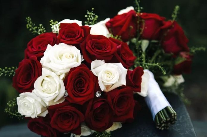 英国的国花是什么花