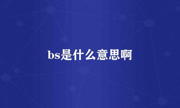 bs是什么意思啊