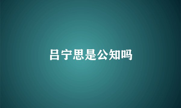 吕宁思是公知吗