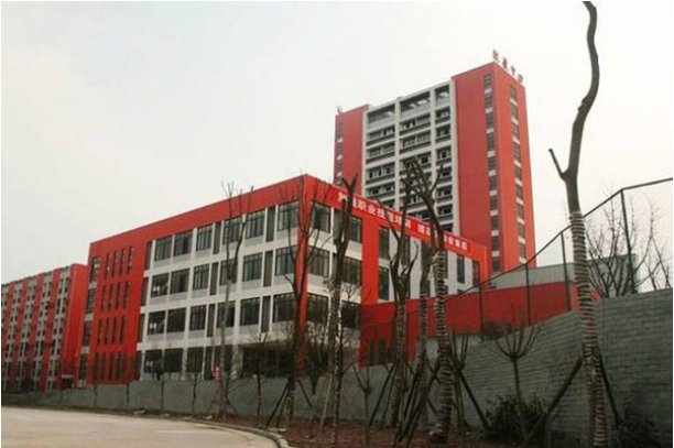 安岳中学分班情况