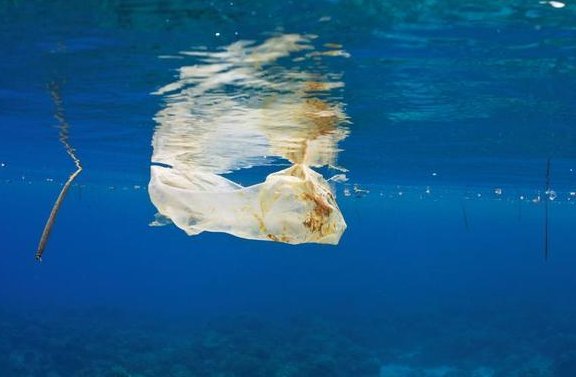 飘浮与漂浮有什么区别?