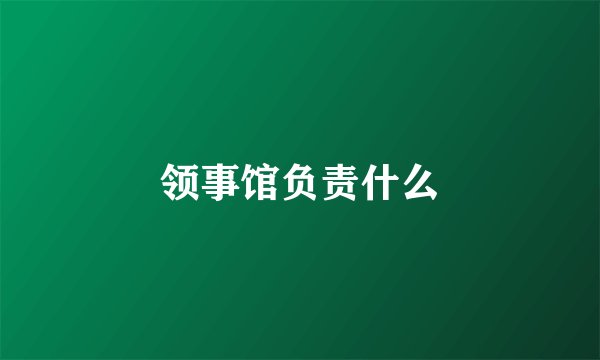 领事馆负责什么