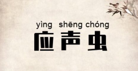 应声虫的拼音