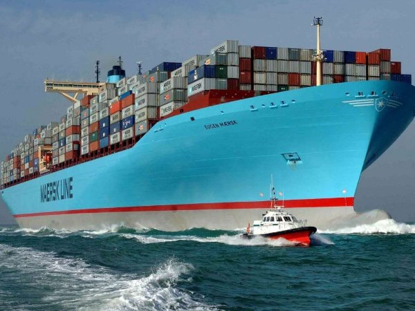 上海国际海运公司哪家好