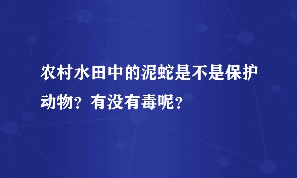 农村水田中的泥蛇是不是保护动物？有没有毒呢？