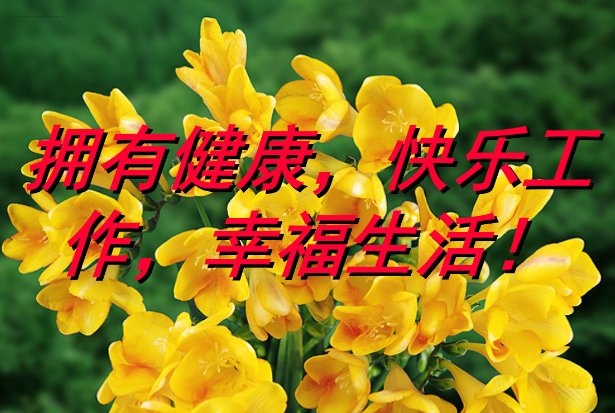 幸福快乐安康祝福语